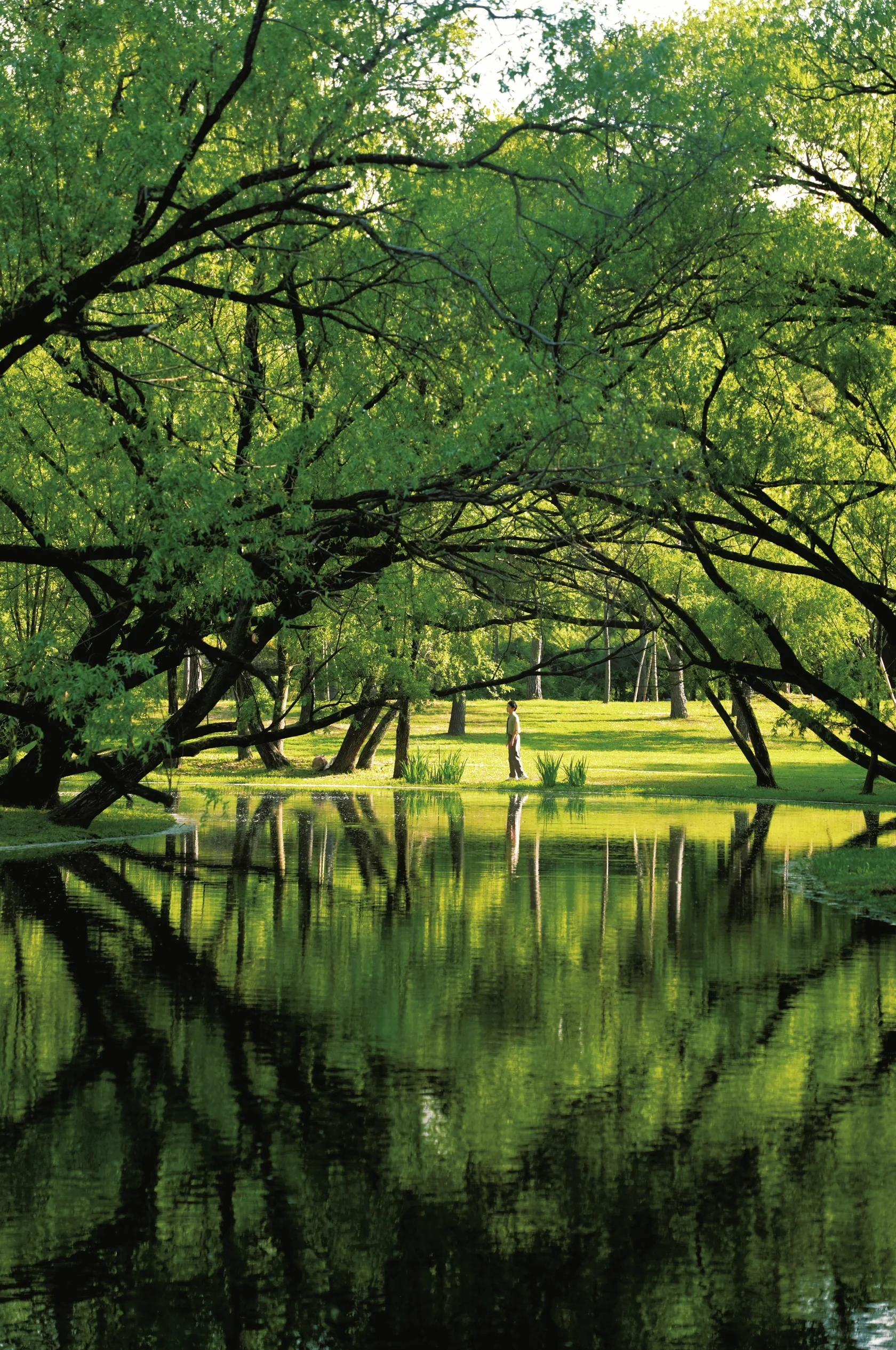 默认标题